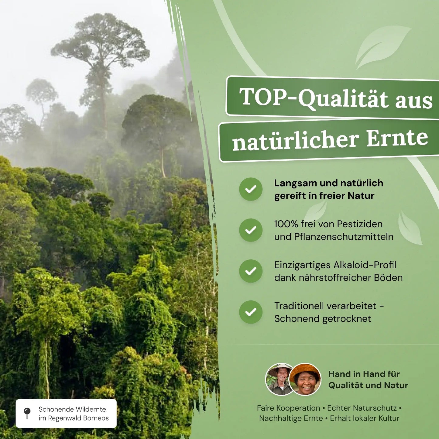 TOP-Qualitaet aus natuerlicher Ernte