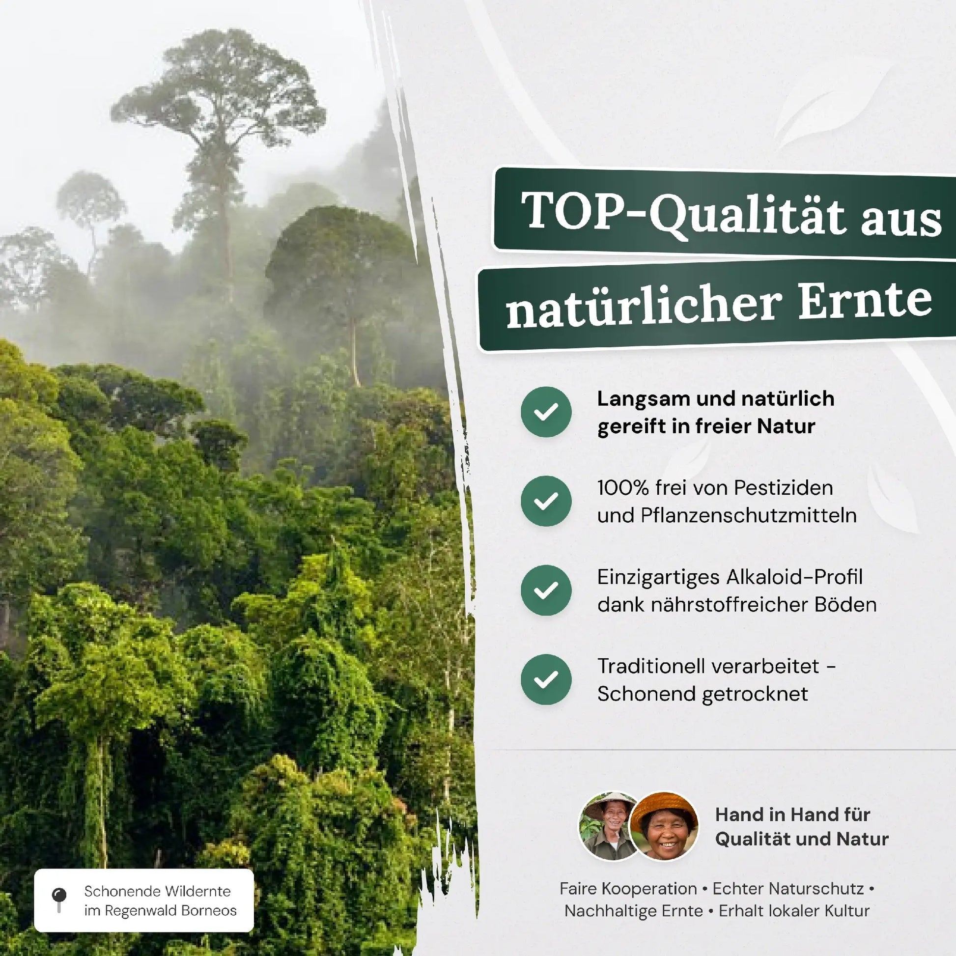 TOP-Qualitaet aus natuerlicher Ernte