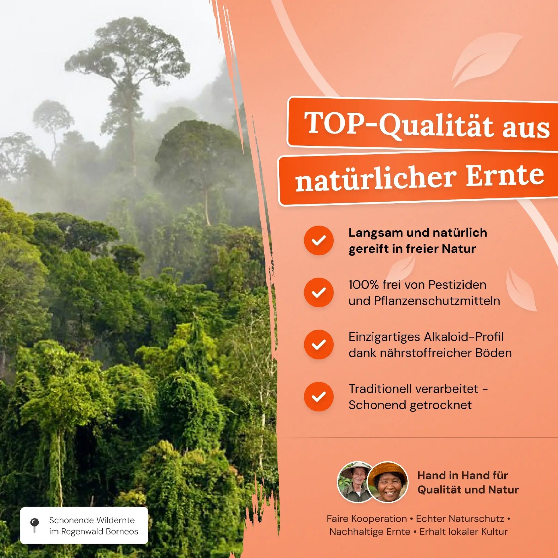 TOP-Qualitaet aus natuerlicher Ernte