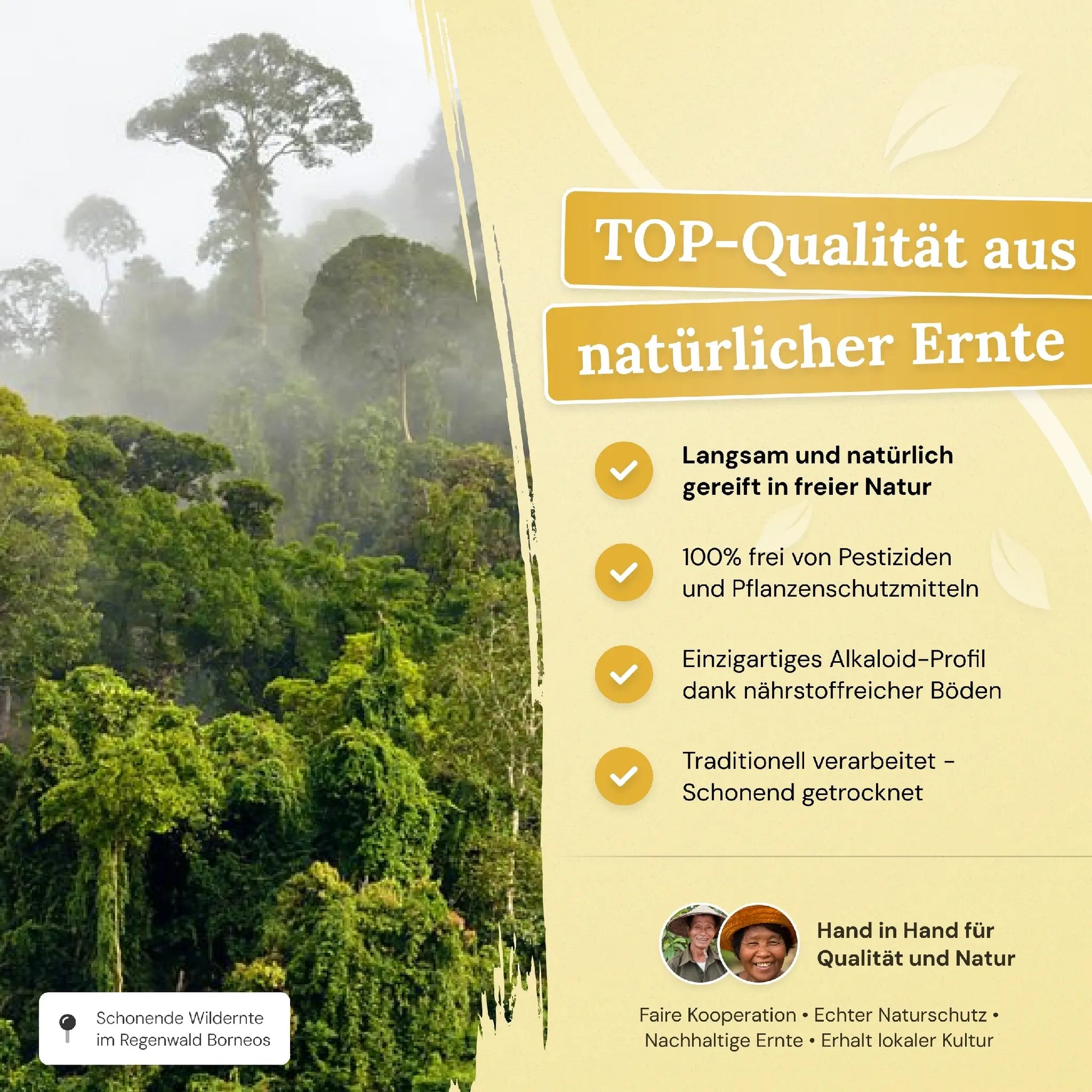 TOP-Qualitaet aus natuerlicher Ernte